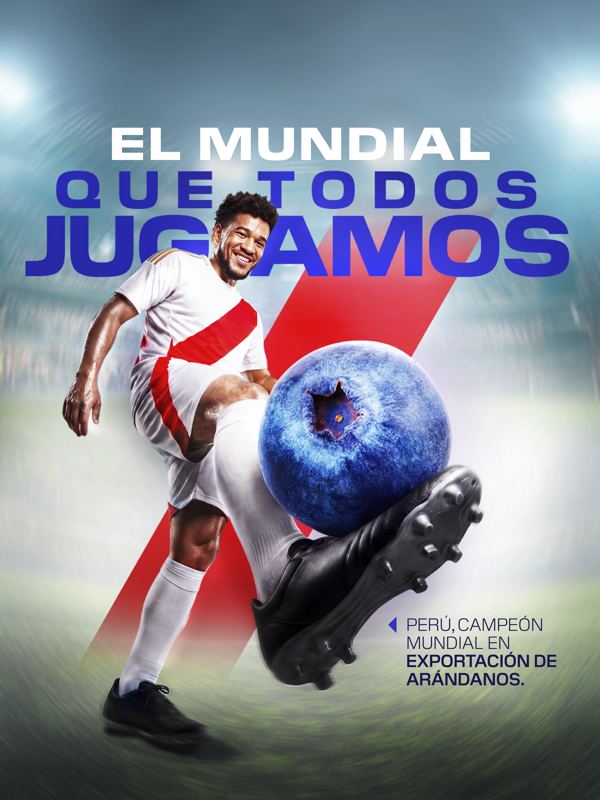 El Mundial Que Todos Jugamos