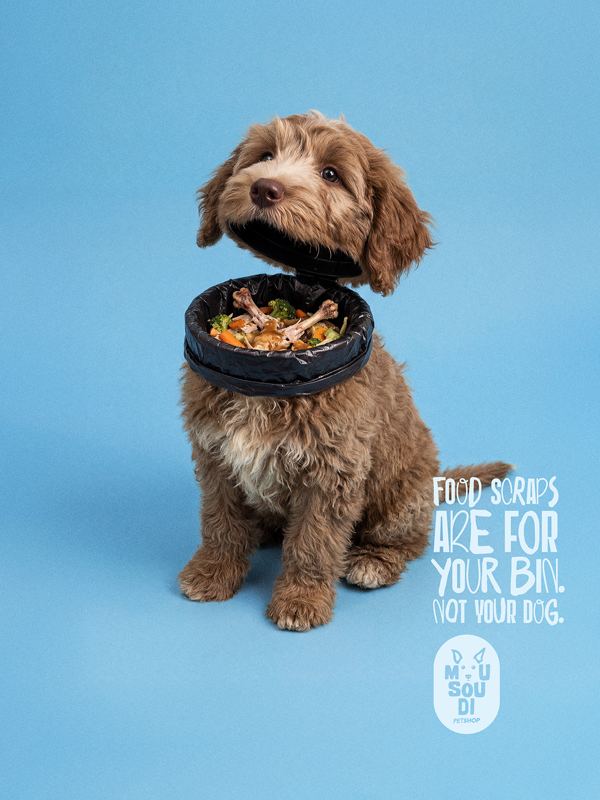Food Scraps