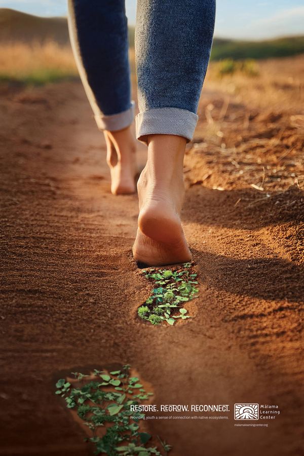 Restore. Regrow. Reconnect.