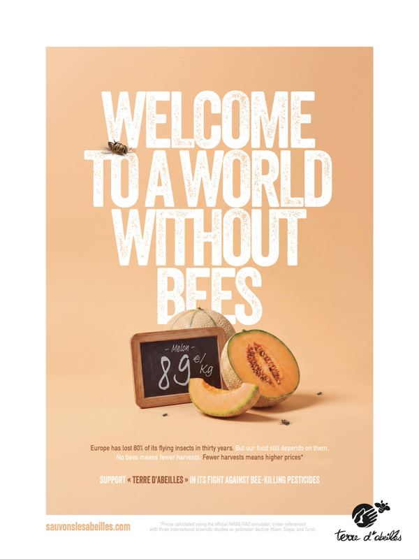 The Price of a World Without Bees