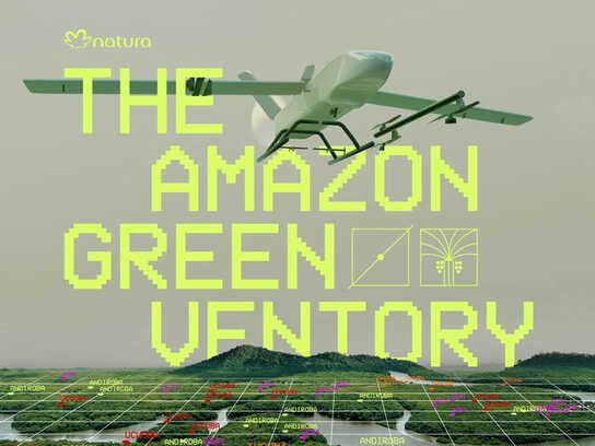 The Amazon Greenventory