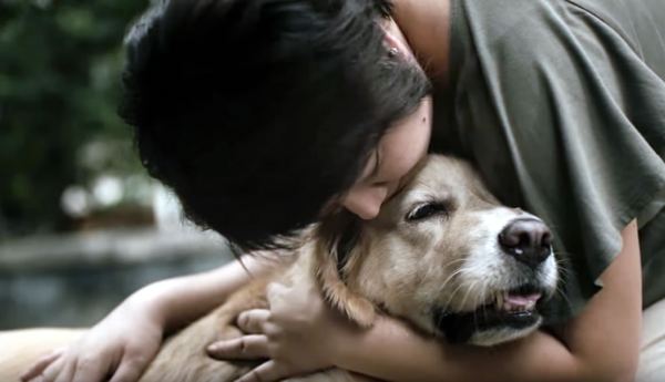 Pedigree and BBDO Bangkok Put Together a Touching Message for Mother's Day