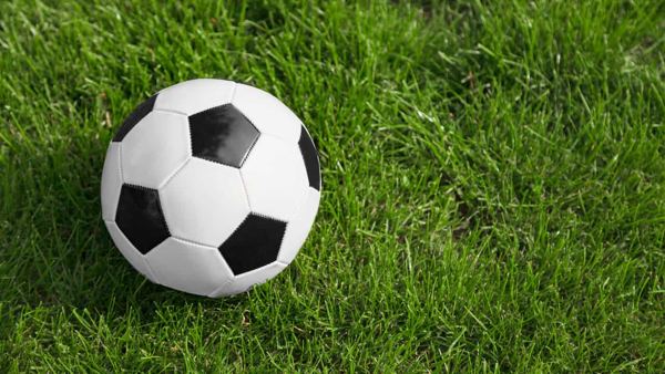 サッカーW杯「本田の一言」が日本の企業を動かす ファンの悲痛な叫びに対応